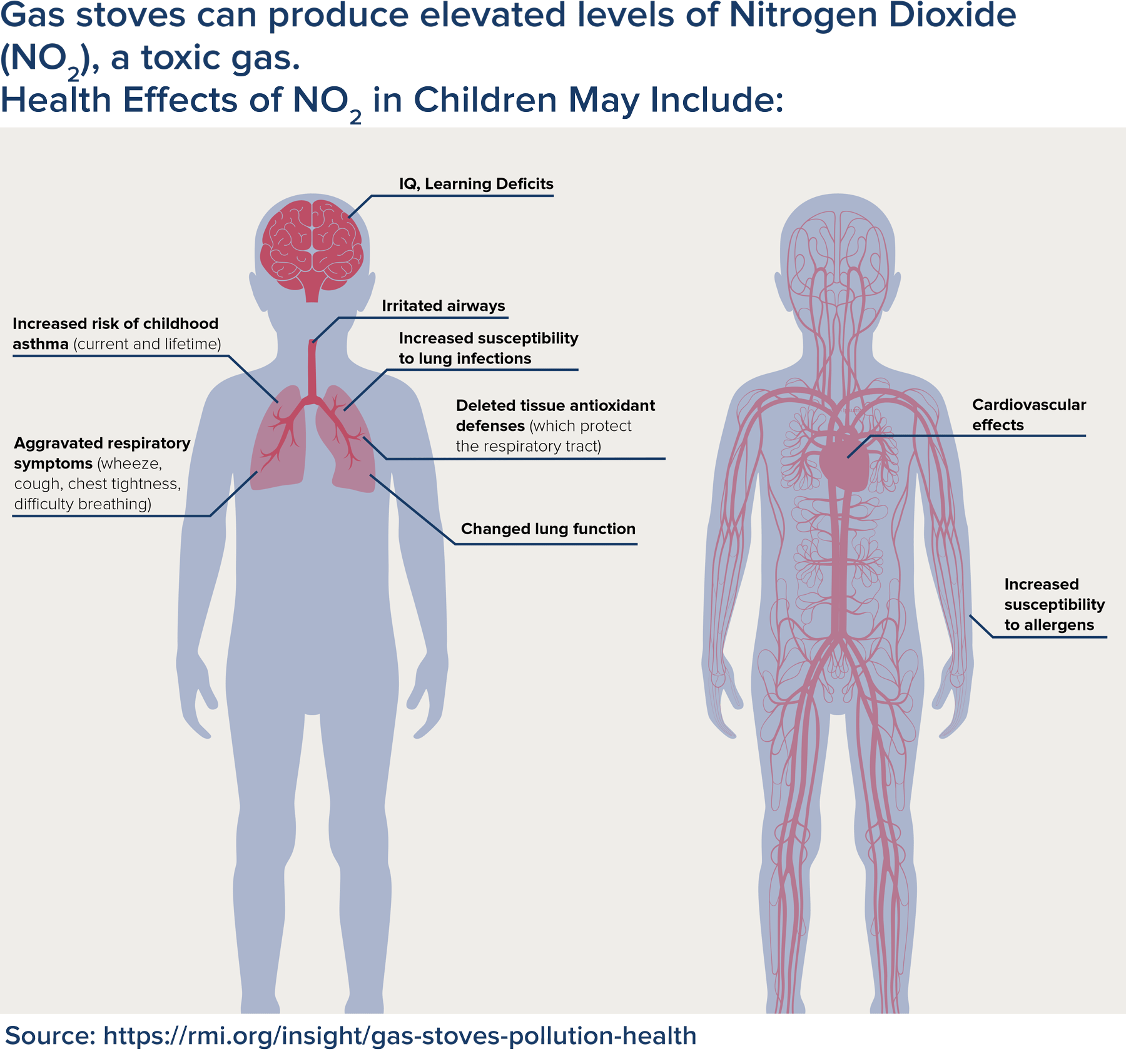 infographic three