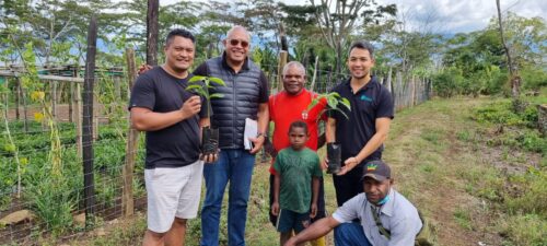 Latmany Coffee farm