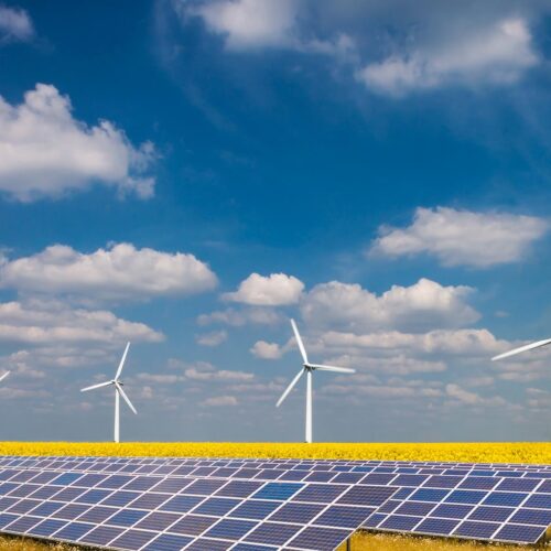 solar panel array beside wind turbines