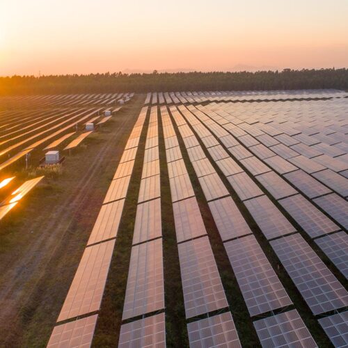 photovoltaic panel array