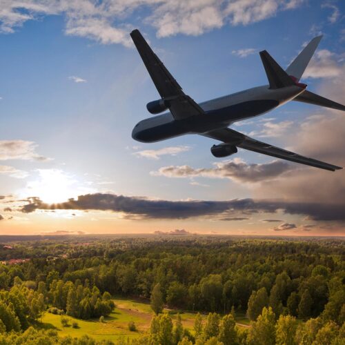 plane flying over a forest